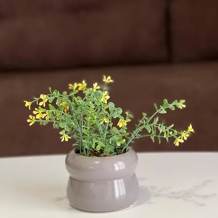 アパート Macys Hideaway Place By Adriatic Living ドゥラス