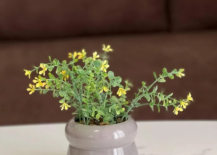 Apartmán Macys Hideaway Place By Adriatic Living Durrës